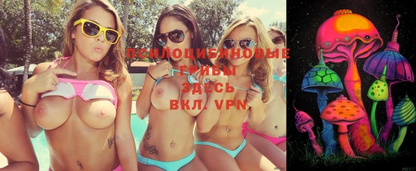прущие крисы Киренск