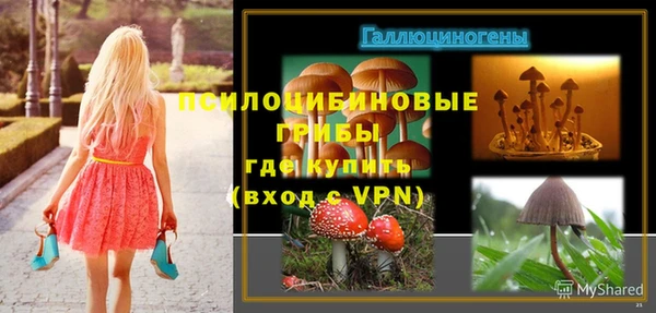спайс Киреевск