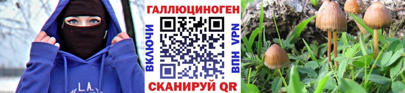 Купить  Сосенский  Псилоцибиновые грибы Psilocybine cubensis 